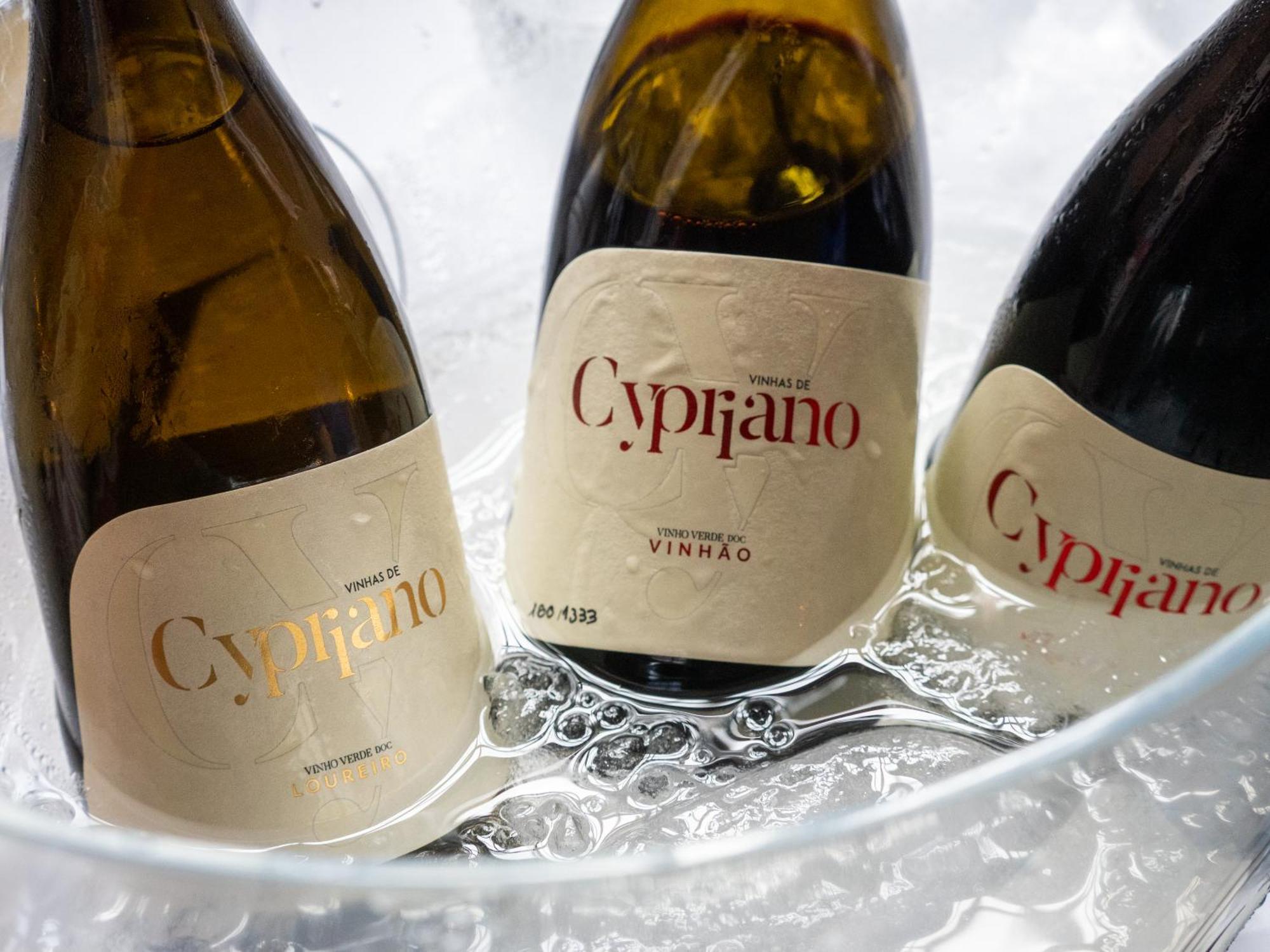 Quinta De Cypriano - Wine & Nature Ponte da Barca Exteriér fotografie