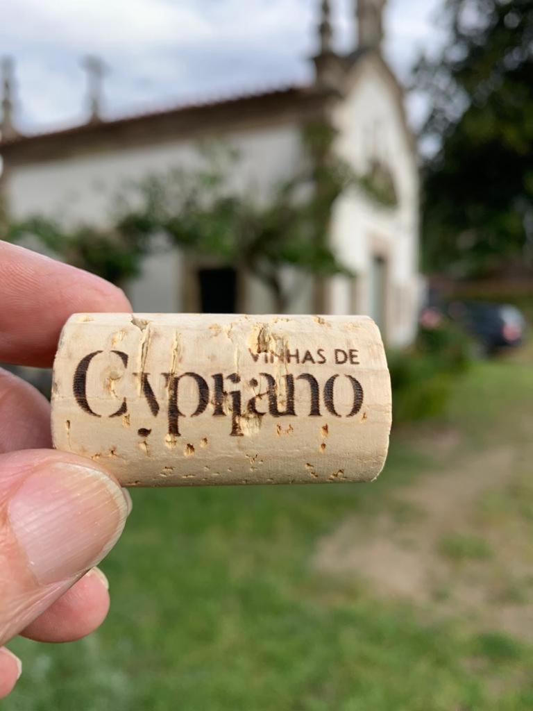 Quinta De Cypriano - Wine & Nature Ponte da Barca Exteriér fotografie